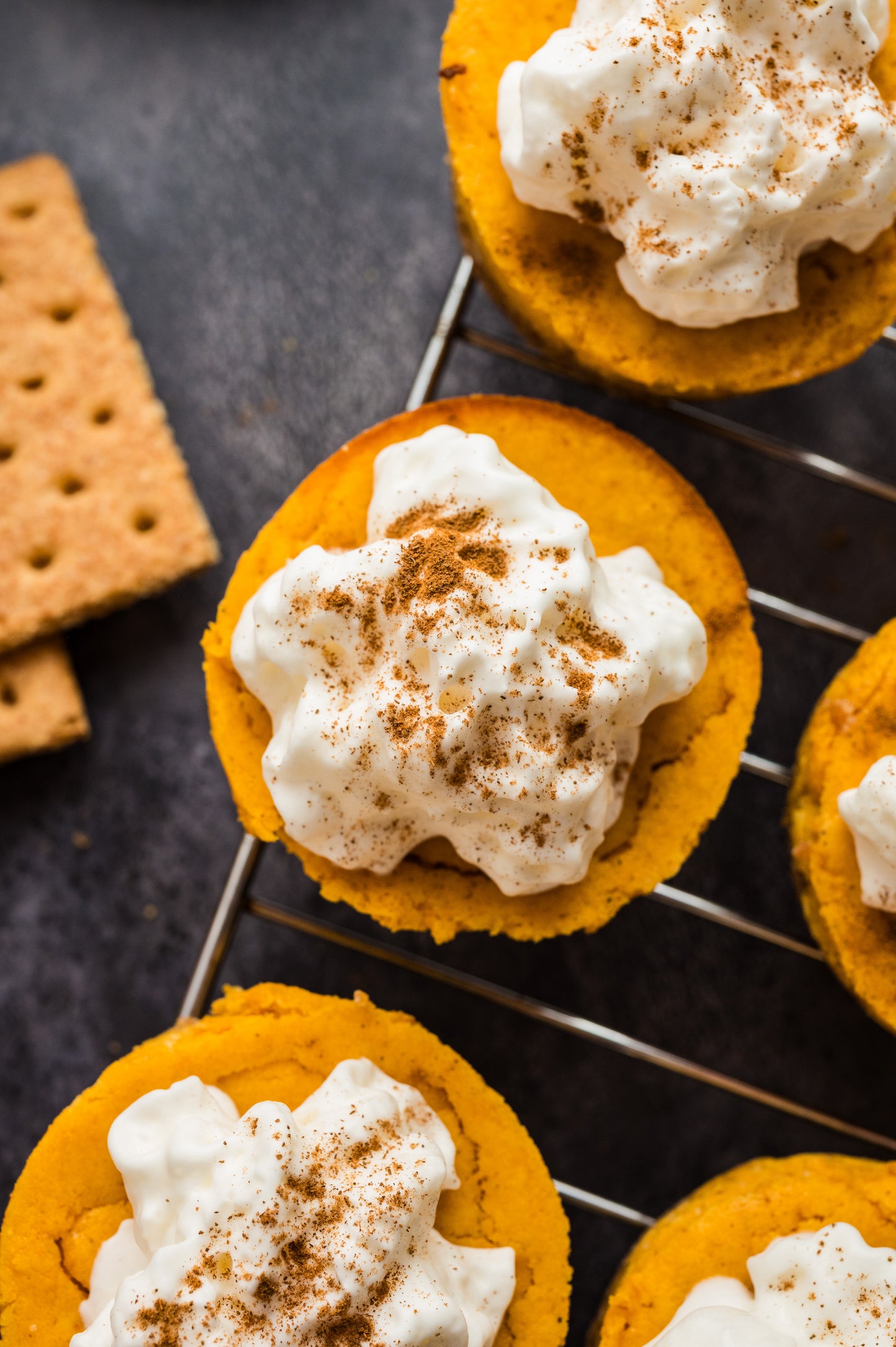 Pumpkin Cheesecake Bites